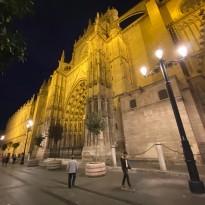 49049539643 11a1ed8146 o