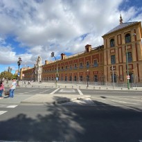 49049995476 7deab67fc8 o