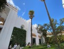 real alczar de sevilla 49049995496 o