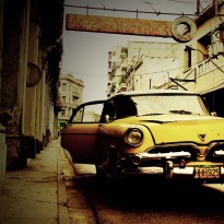 33490168052 19167ed343 o