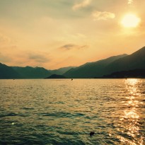 36636107091 9bf03e6feb o