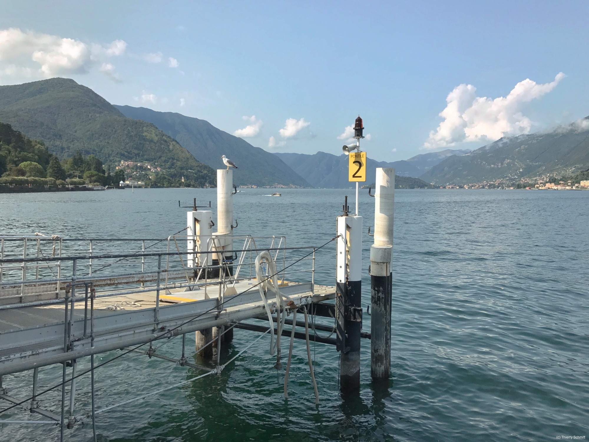 36775394455 9e537a8404 o