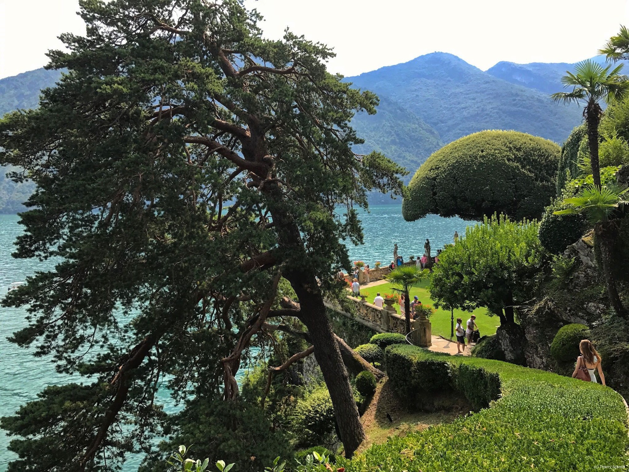 36780312105 767b99fef8 o