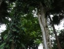 9j9a6046 25439569294 o