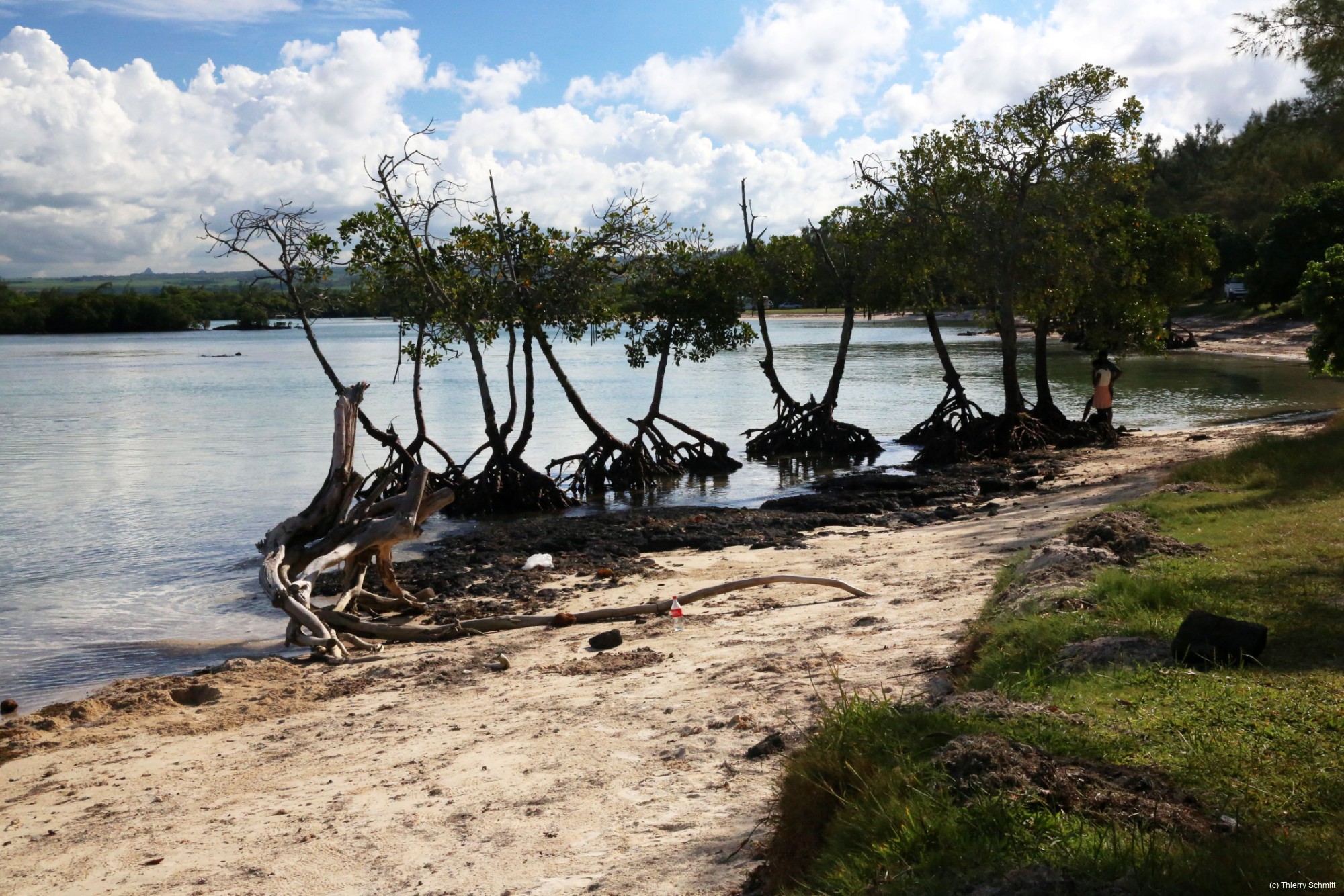 9j9a6132 25978879631 o