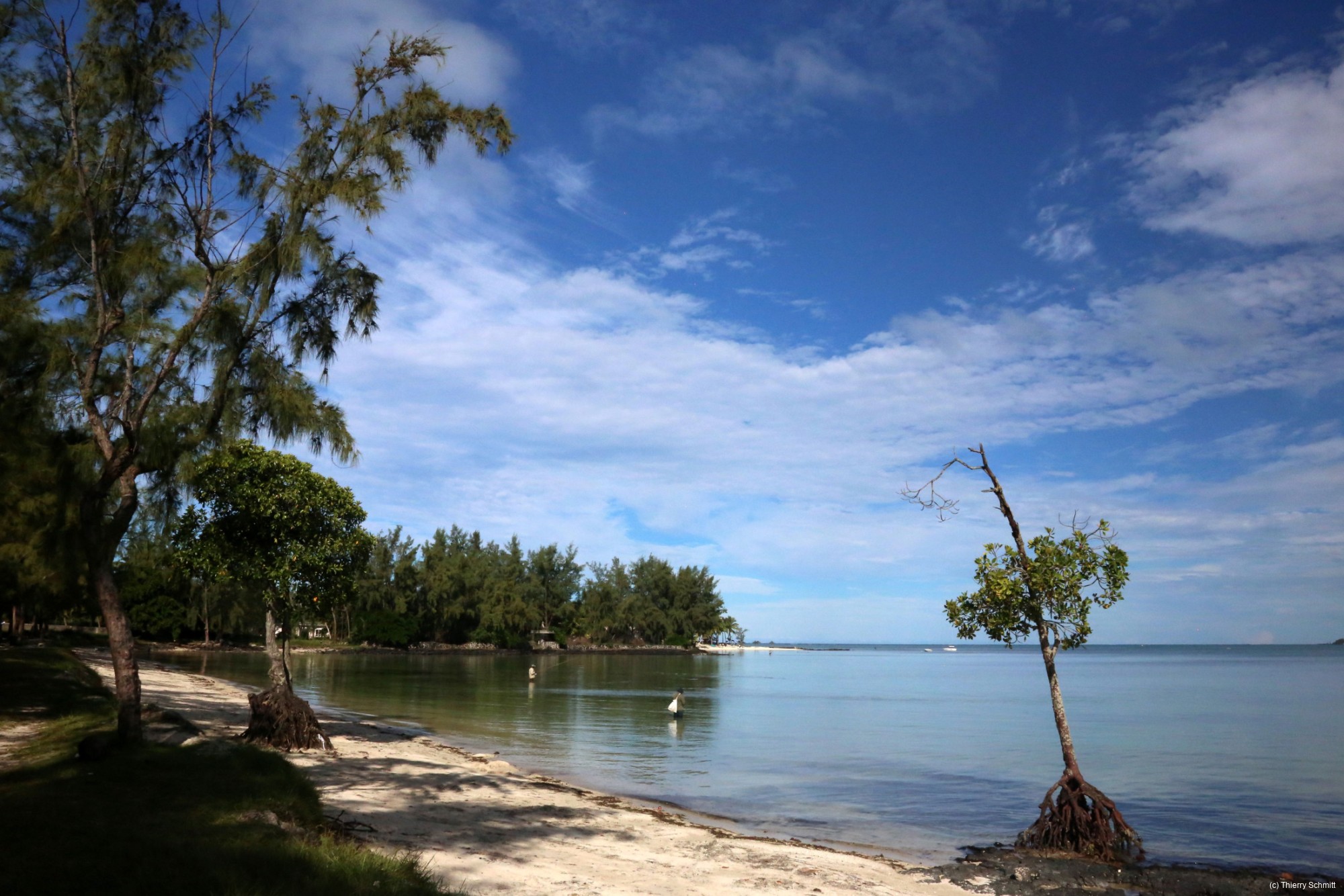 9j9a6133 25440492434 o