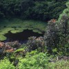 cratre de trou aux cerfs 25440331943 o