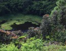 cratre de trou aux cerfs 25440331943 o
