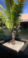 htel maritim crystal beach 25950290482 o