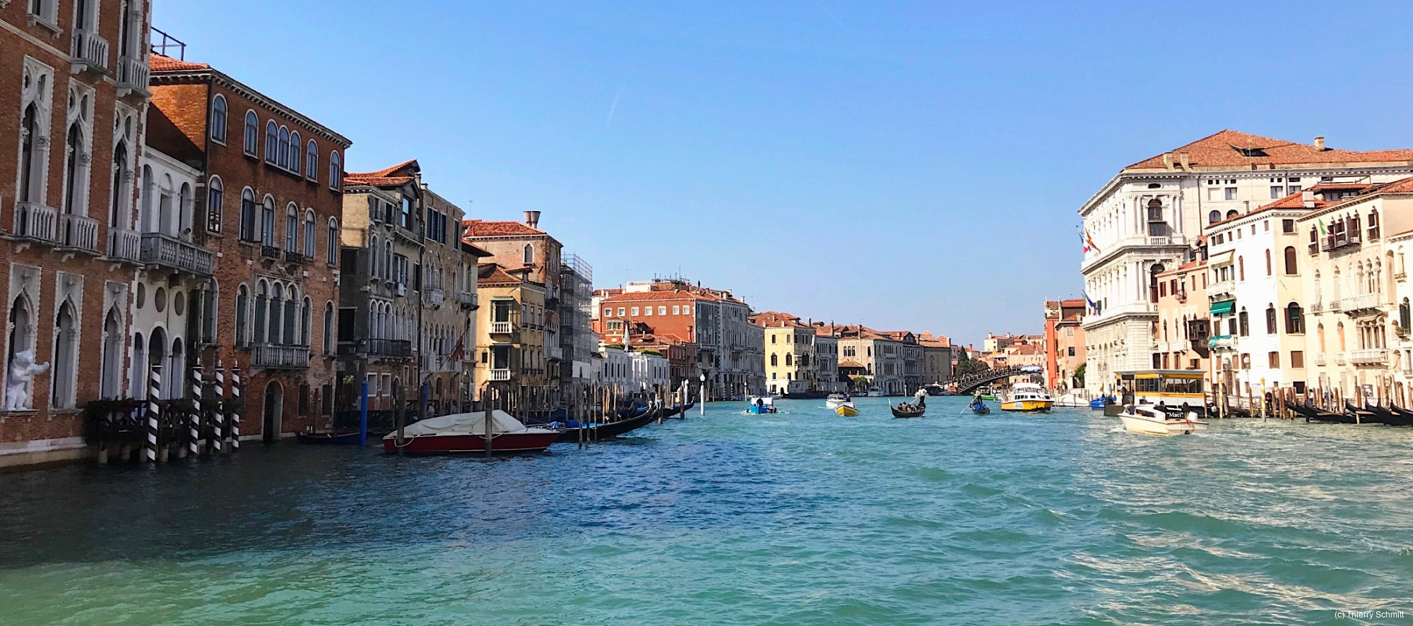 23704599898 9ca81103e7 o