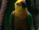 IMG 0151