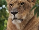 IMG 0350