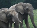 IMG 4831