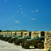 fa02ee52 f470 4739 a2eecf78307a