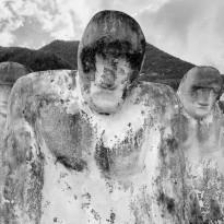 10cbb3e9 c81d 4d2a6e8df947b78fca