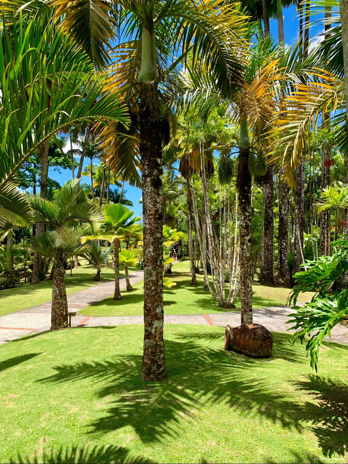 2dd9eaa6 95f6 429a 9b7b