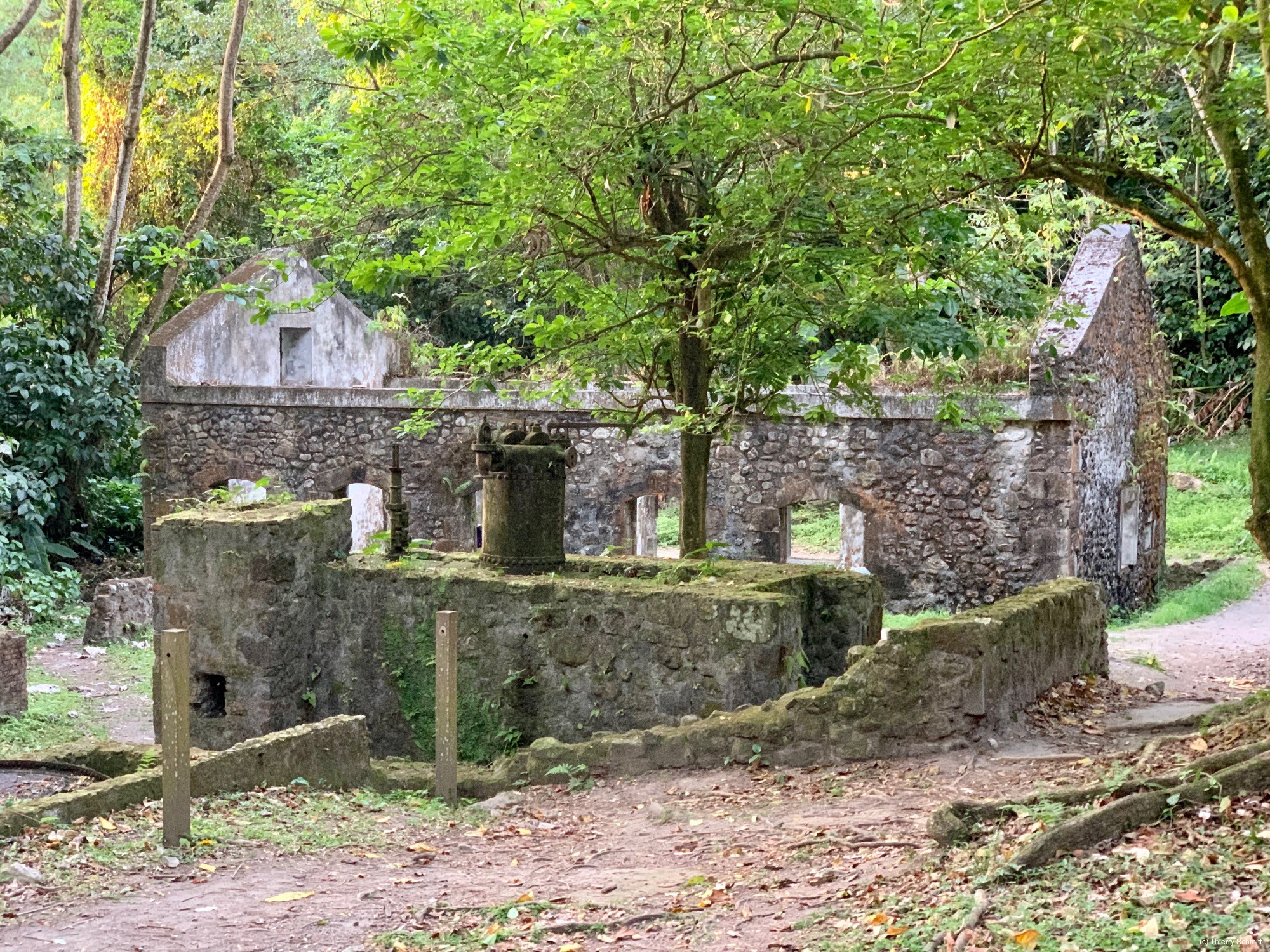 485dd08b 54d2 430a 9df8ae7a9e9817a