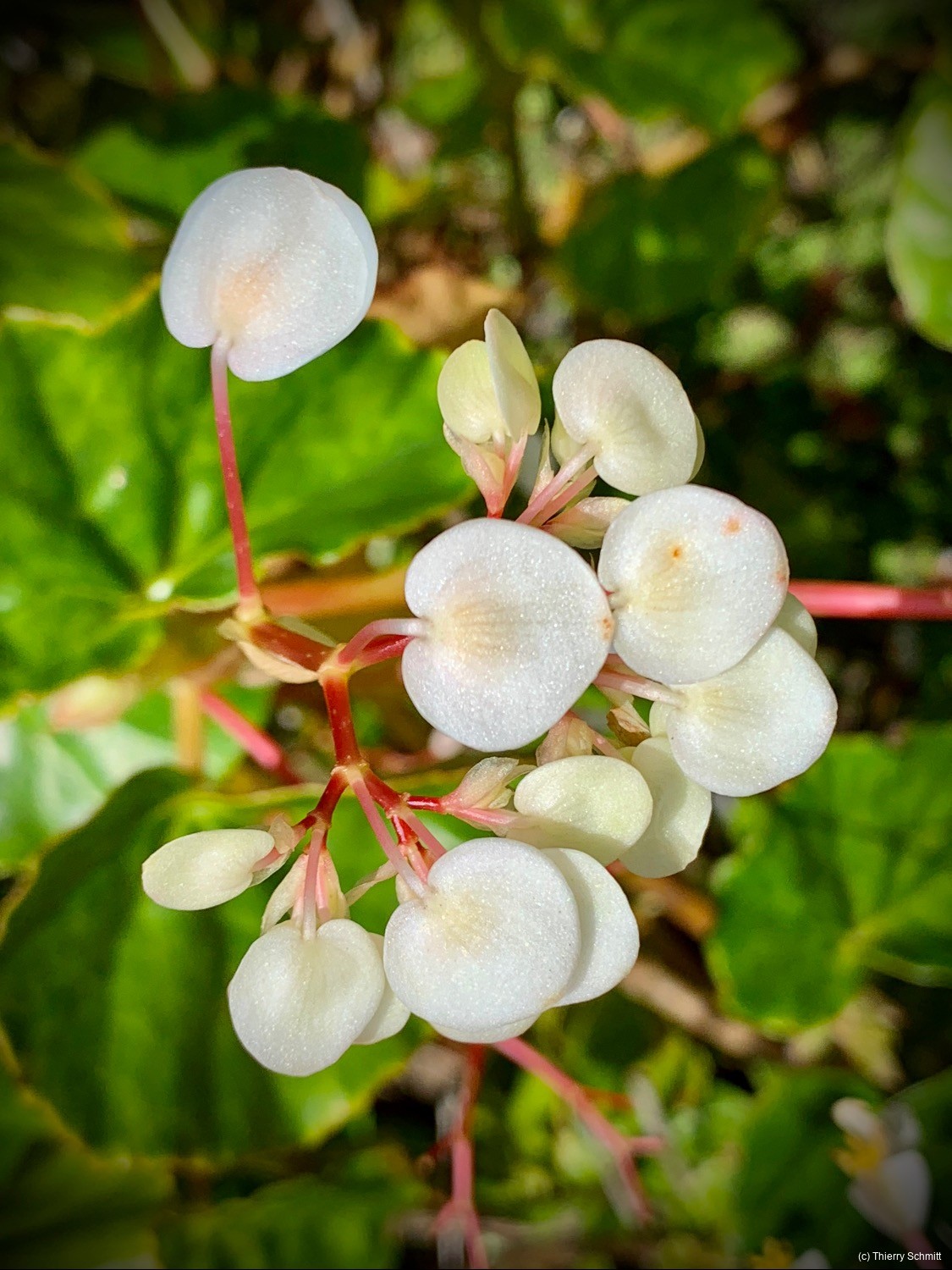 d03797b9 4a97e1 ade2 bdc82551d18a