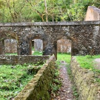 dc5f41a8 317ff2 b596 c78e25ff8df5