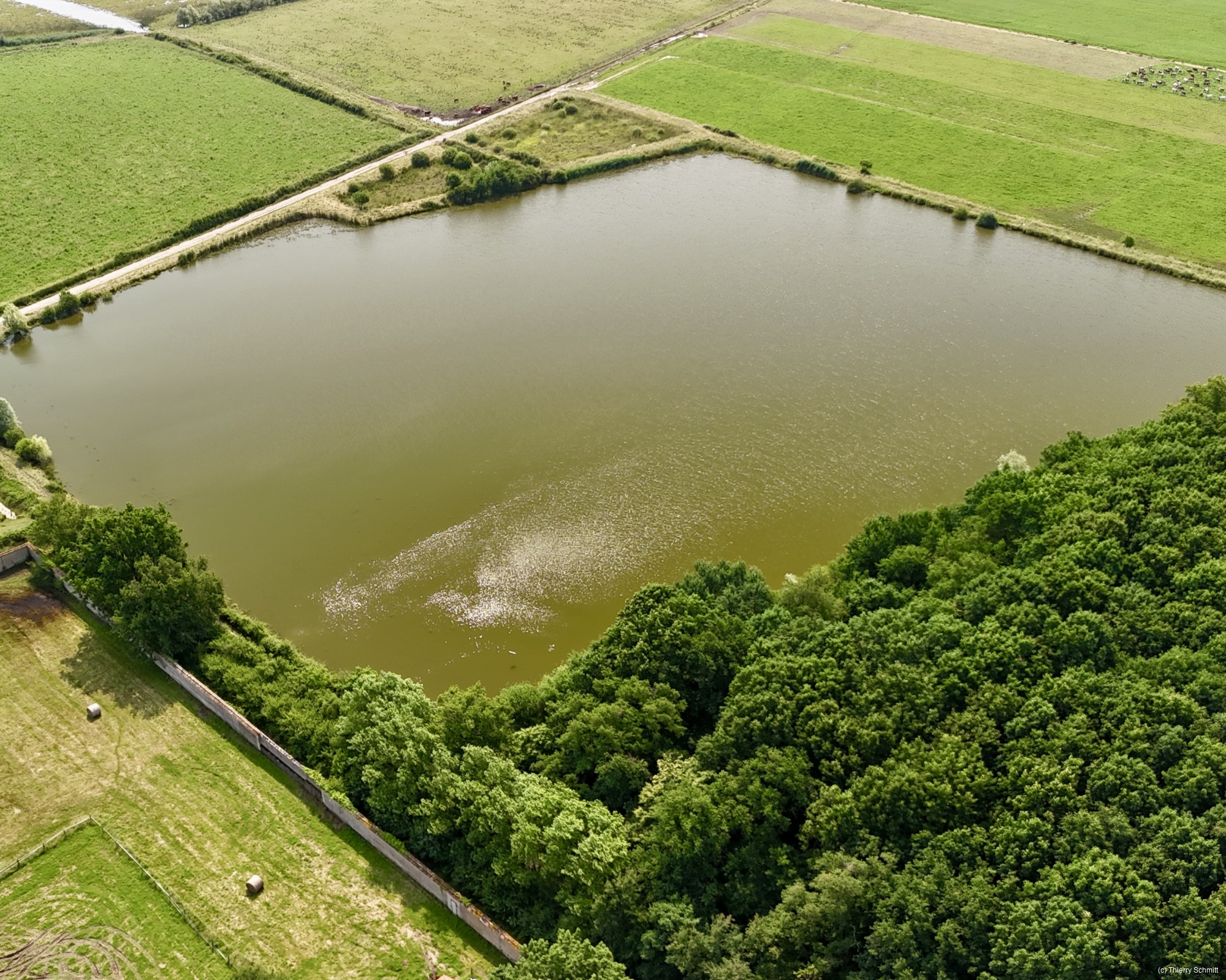 dji fly 20250609 105758 0038 photo