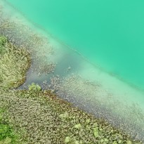 dji fly 20250914 103340 0198 photo